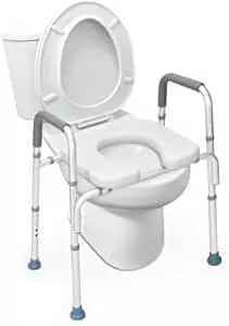 OasisSpace Stand Alone Raised Toilet Seat Review