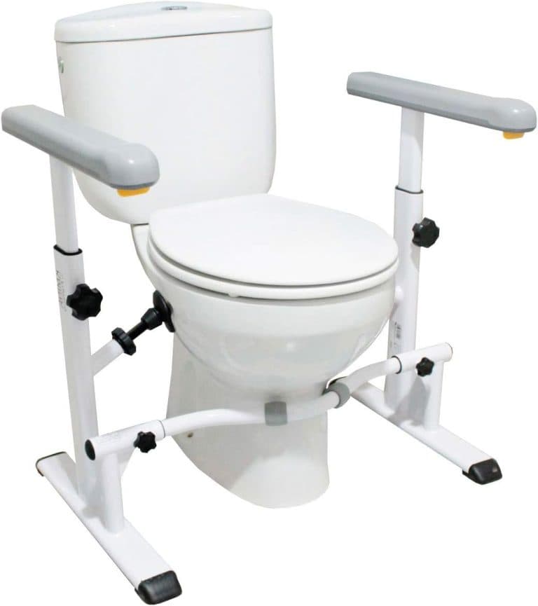 raised toilet seat with handles