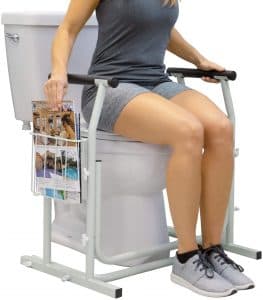 Stand Alone Toilet Rail