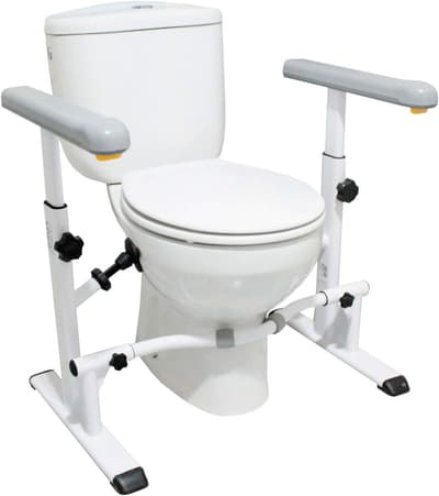 raised toilet seat with handles