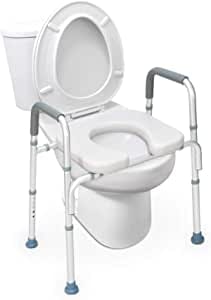 OasisSpace Stand Alone Raised Toilet Seat Review